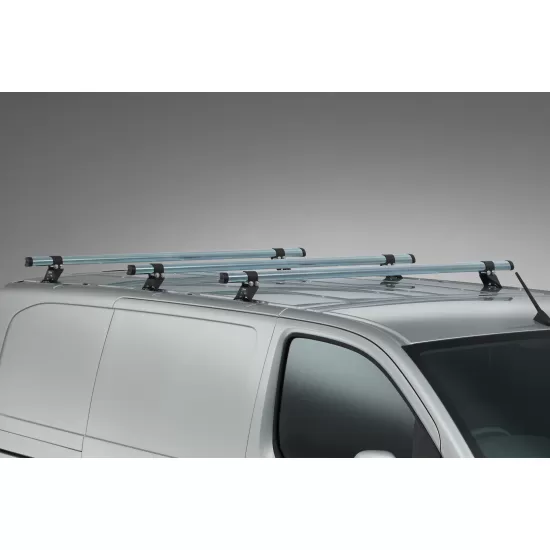 RHINO DELTA 2 BAR SYSTEM - DISPATCH, EXPERT 2016 ON L1/H1